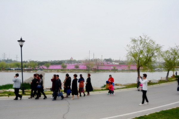 NW0_4511副本.jpg